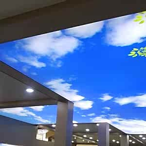 Transparan Gergi Tavan Modelleri